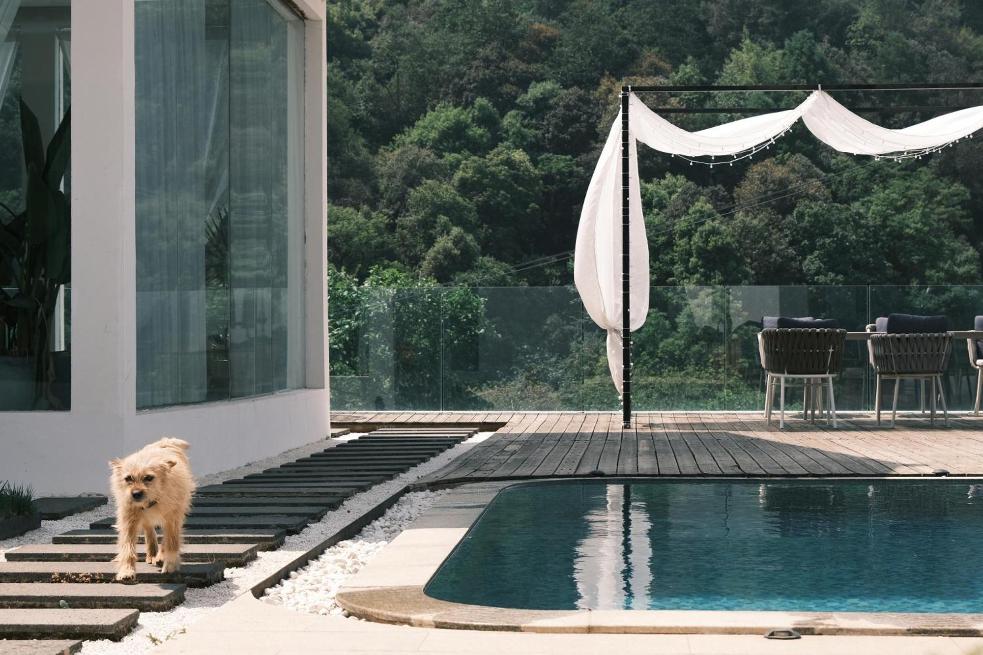 No Flowers Boutique Hostel Côn Minh Ngoại thất bức ảnh